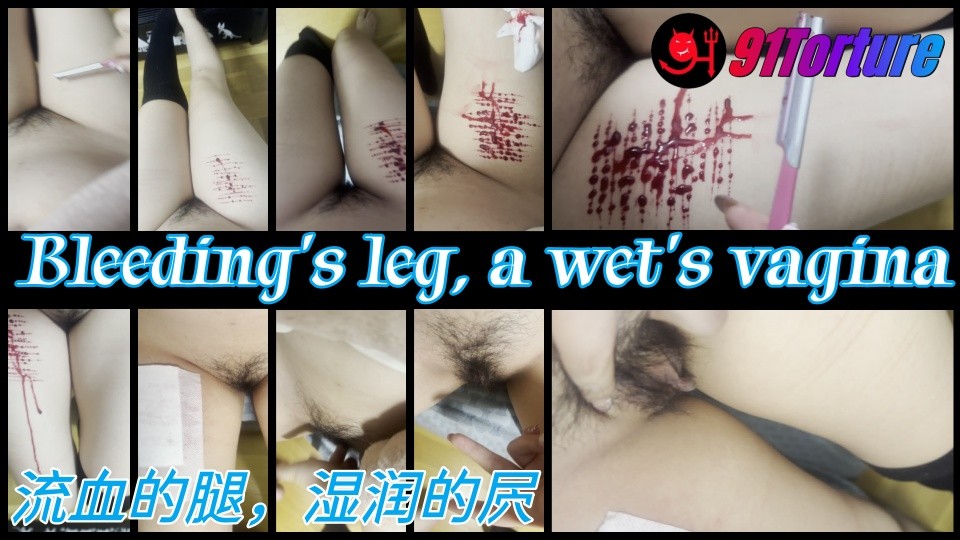 流血的腿，湿润的屄